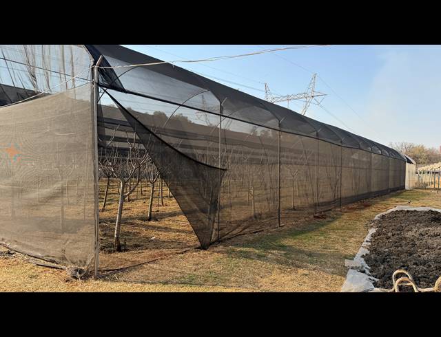 40,471M² SMALLHOLDING FOR SALE IN BENONI AH